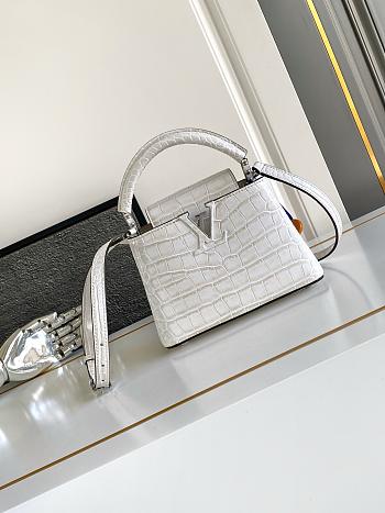 Louis Vuitton Capucines Mini M93429-21x14x8cm