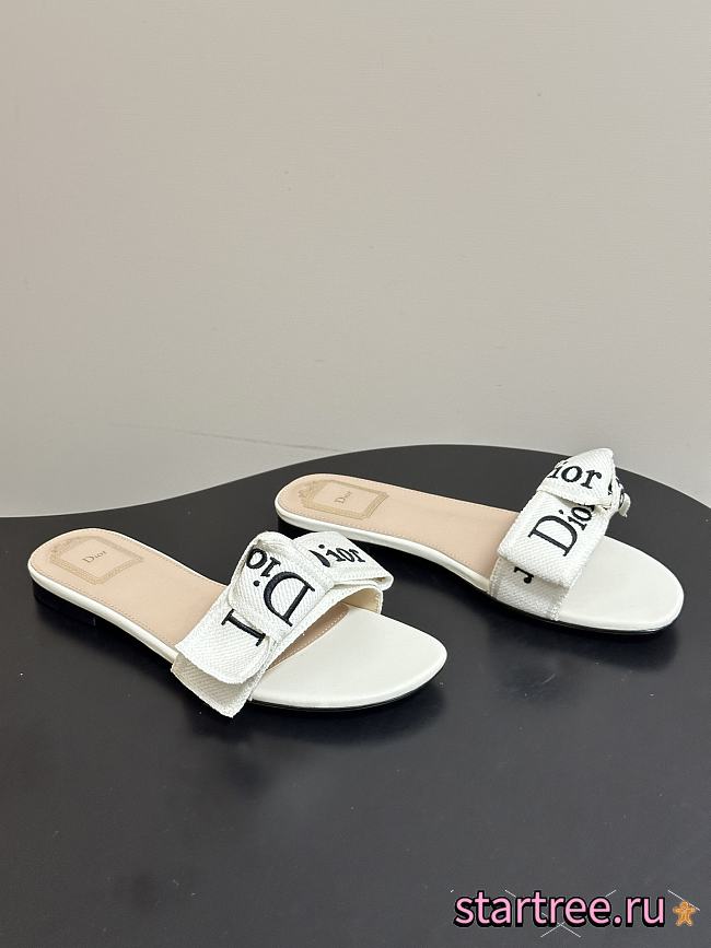 Dior Slippers 018 - 1