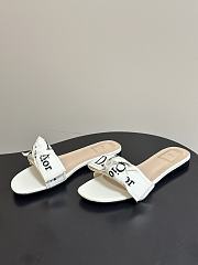 Dior Slippers 018 - 4