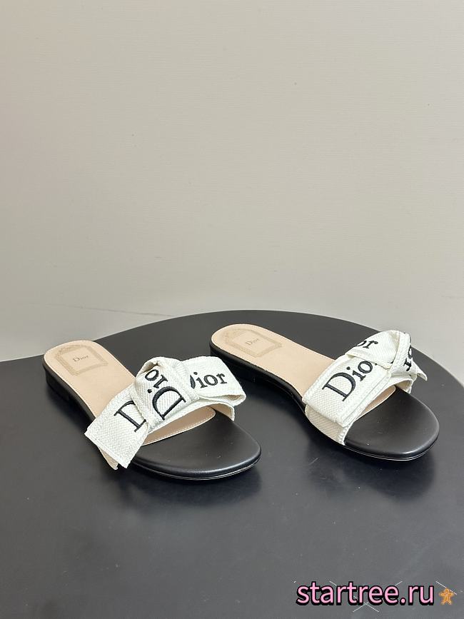 Dior Slippers 019 - 1