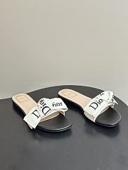 Dior Slippers 019 - 1