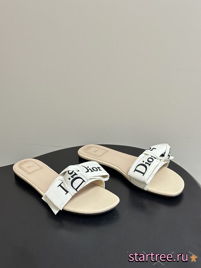 Dior Slippers 021 - 1