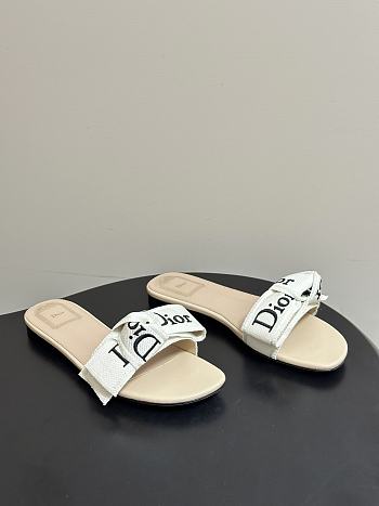 Dior Slippers 021