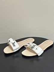 Dior Slippers 021 - 3
