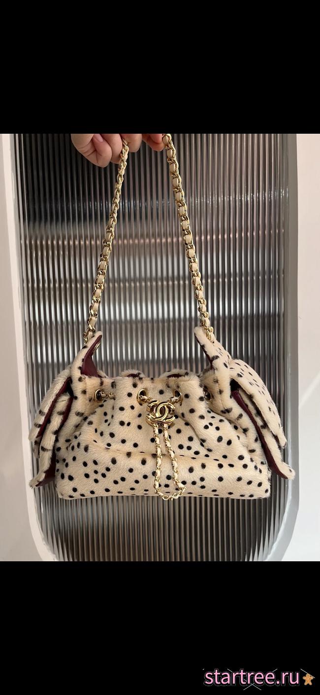 Chanel 25 Mini Bag Light Beige- 20 x 22 x 12.5cm - 1