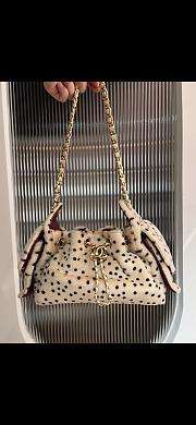 Chanel 25 Mini Bag Light Beige- 20 x 22 x 12.5cm - 1