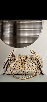 Chanel 25 Mini Bag Light Beige- 20 x 22 x 12.5cm - 2