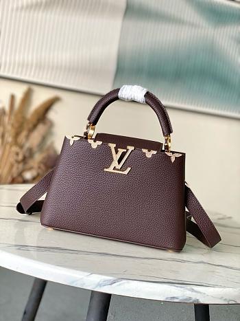 Louis Vuitton PM Capucines Dark Brown M24583-27cm