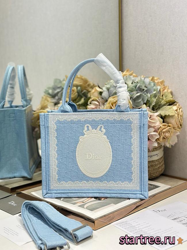 Dior Small Book Tote with shoulder strap Blue and white-26.5 x 22 x 14cm  - 1