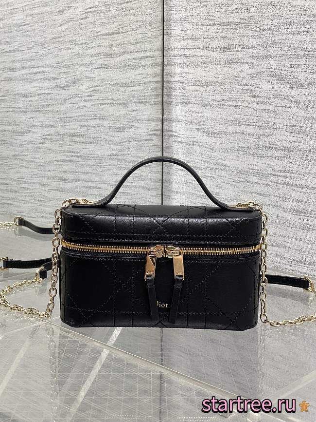 Dior Trianon Soft Vanity Mini Bag Black - 1