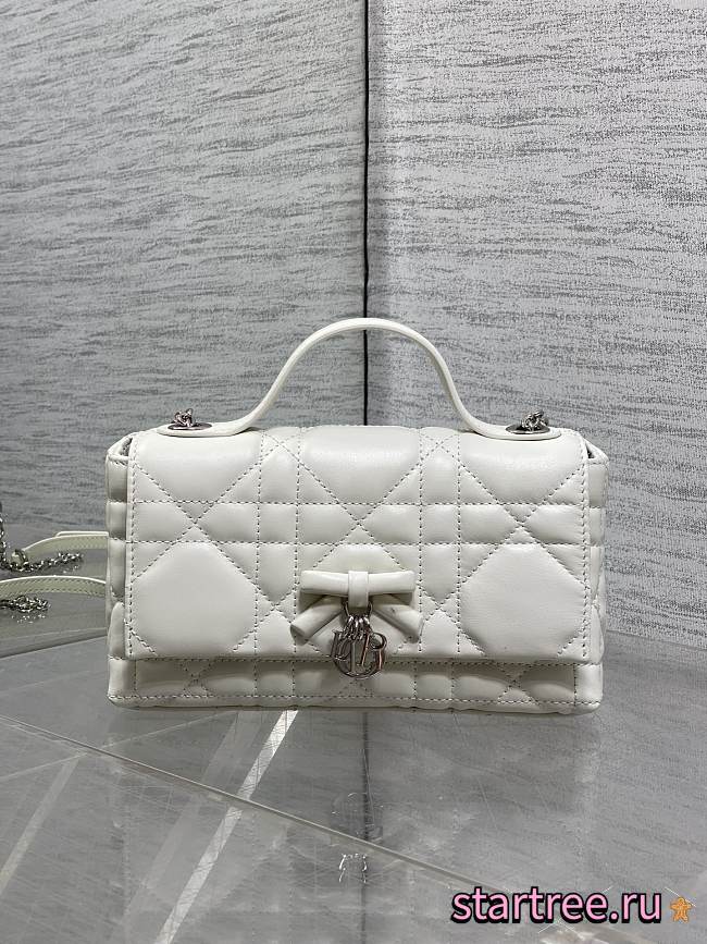 Dior My Tender Dior Top Handle Mini Bag-21 x 11.5 x 7 cm - 1