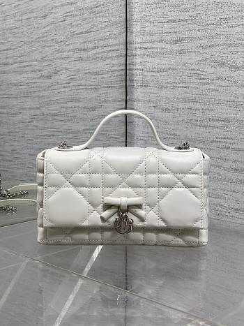 Dior My Tender Dior Top Handle Mini Bag-21 x 11.5 x 7 cm