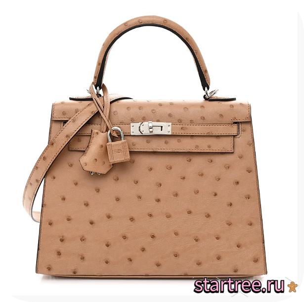 Hermes Kelly 25 Chai in Ostrich Silver Hardware - 1