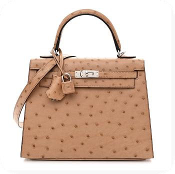 Hermes Kelly 25 Chai in Ostrich Silver Hardware