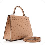 Hermes Kelly 25 Chai in Ostrich Silver Hardware - 4