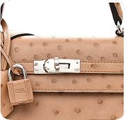 Hermes Kelly 25 Chai in Ostrich Silver Hardware - 3