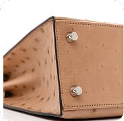 Hermes Kelly 25 Chai in Ostrich Silver Hardware - 2